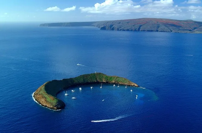 Calypso Molokini Snorkel Cruise