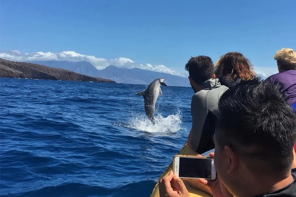 Lanai Eco Raft: Snorkel & Dolphins
